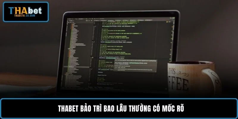 THABET bảo trì bao lâu thường có mốc rõ
